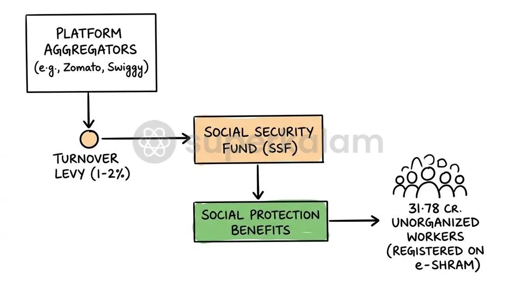 5.webp