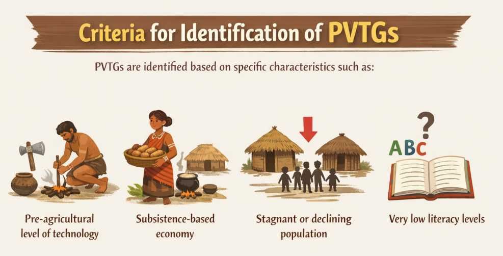 ChatGPT Image Feb 19, 2026, 12_05_15 PM.jpg