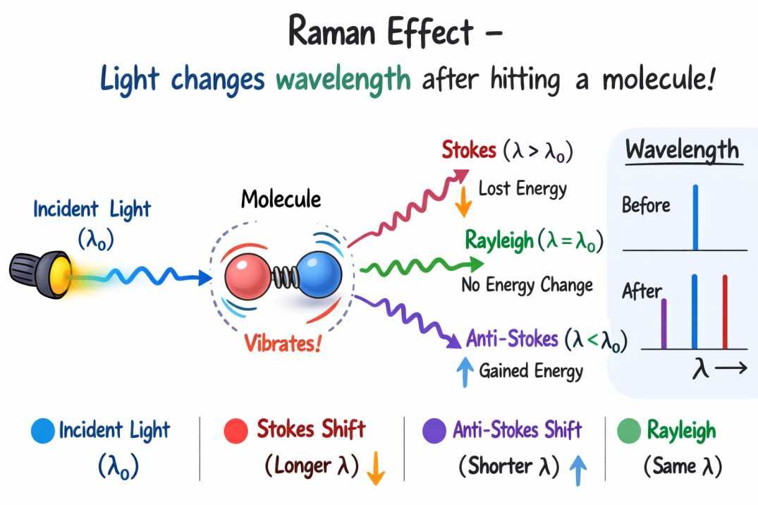 ChatGPT Image Feb 28, 2026, 08_59_17 PM.jpg