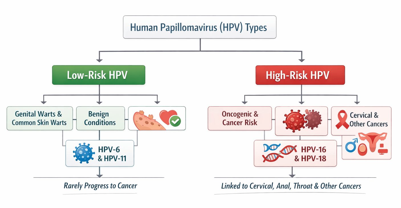 ChatGPT Image Mar 9, 2026, 03_42_32 PM.png