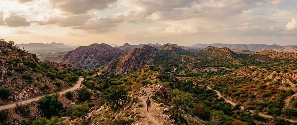 The ancient Aravalli Range serves as a vital ecological shield against desertification and sustains regional groundwater recharge across northern India.