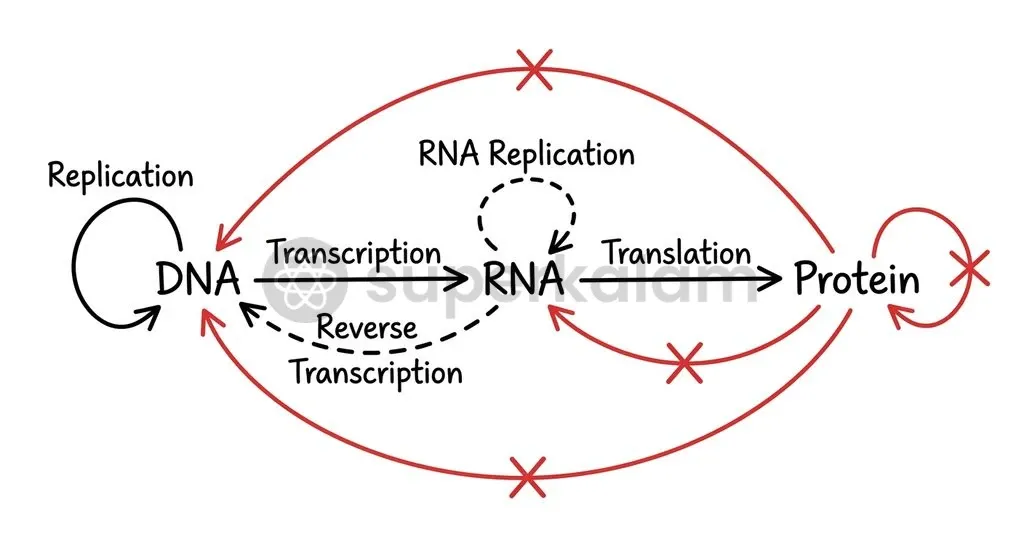 Francis Crick's framework classifies molecular information flows into general, special, and forbidden transfers, establishing that sequence data cannot flow backward from proteins.