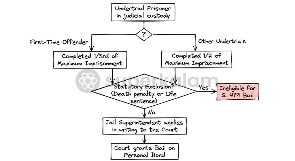 The statutory release pipeline under Section 479 BNSS, illustrating the one-third detention threshold for first-time offenders and the mandatory duties of jail superintendents.