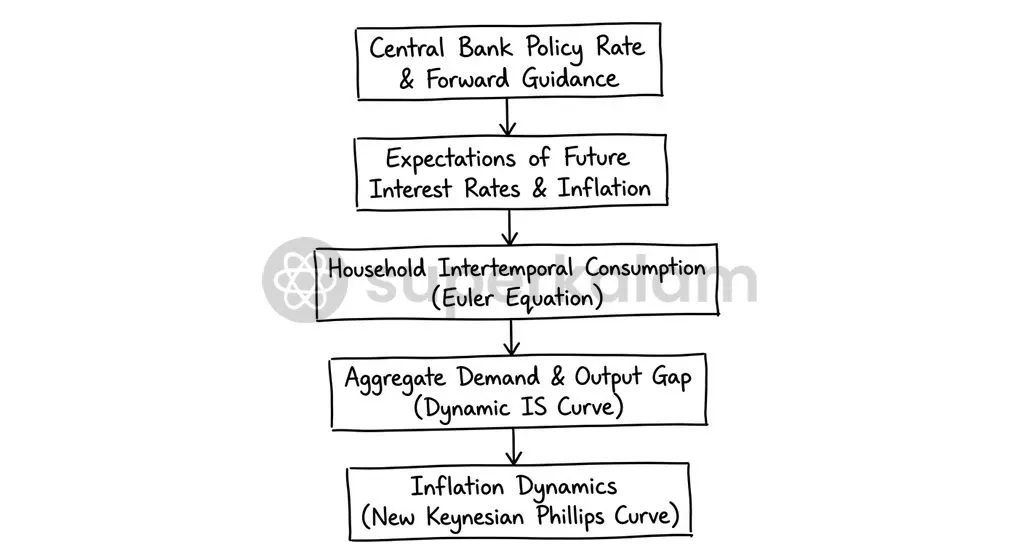 The New Keynesian transmission mechanism channels central bank interest rate decisions through household forward expectations to determine aggregate macroeconomic output.