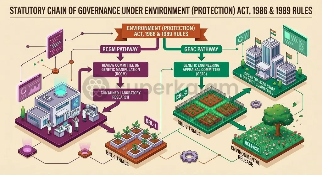 India's transgenic oversight architecture distributes containment research and commercial appraisal between the RCGM and GEAC.