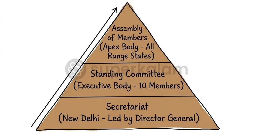 The IBCA governance architecture replicates the International Solar Alliance model, balancing member state consensus with operational agility.