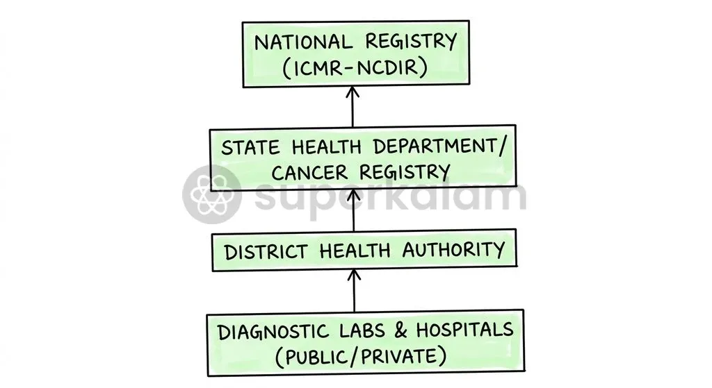 The statutory notification workflow ensures data flows from primary diagnostic points directly to national public health repositories.