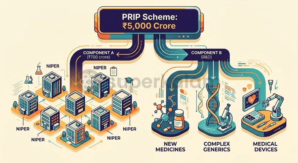 The PRIP Scheme splits its ₹5,000-crore outlay between institutional research infrastructure in NIPERs and direct industry project assistance.