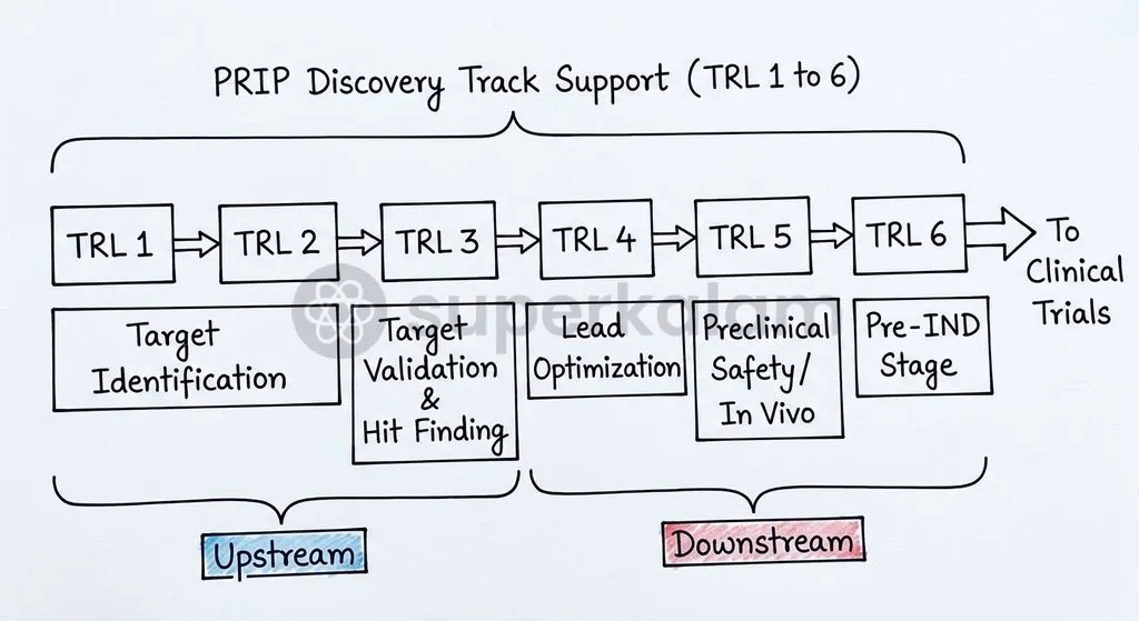 The Discovery Track supports early-stage molecules moving through TRL 1 to TRL 6, bridging the critical preclinical gap.