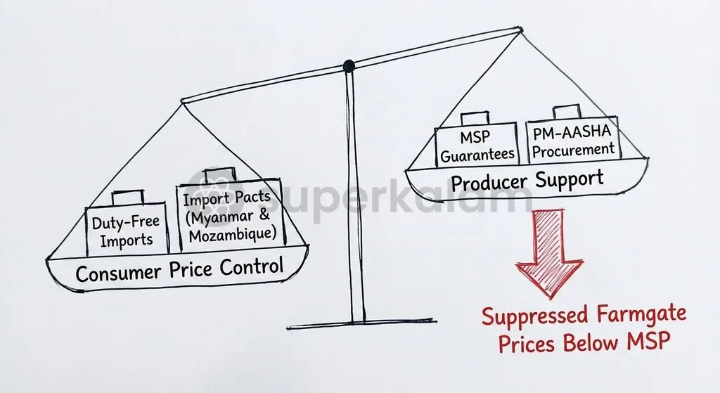 Zero-duty import surges during harvest windows create a policy contradiction by depressing domestic market prices below MSP.