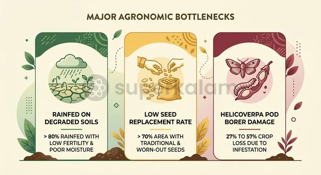 Non-price agronomic hurdles such as rainfed soil moisture stress, pest vulnerability, and low seed replacement rates suppress national pulse productivity.