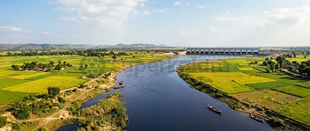 The Sone River basin serves as a critical lifeline for irrigation and drinking water across Bihar and Jharkhand.