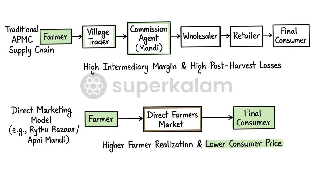 Direct marketing models shorten supply chains, cutting intermediary markups and improving farm-gate price realizations.